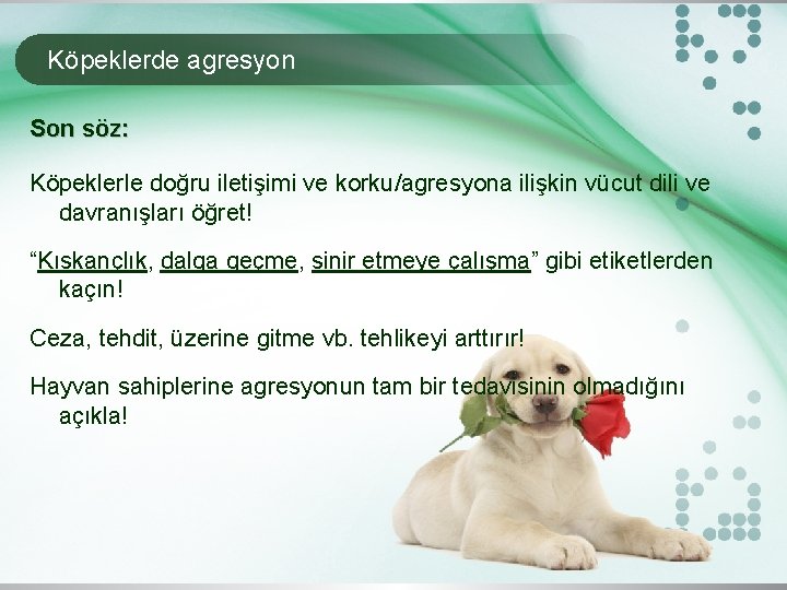 Köpeklerde agresyon Son söz: Köpeklerle doğru iletişimi ve korku/agresyona ilişkin vücut dili ve davranışları