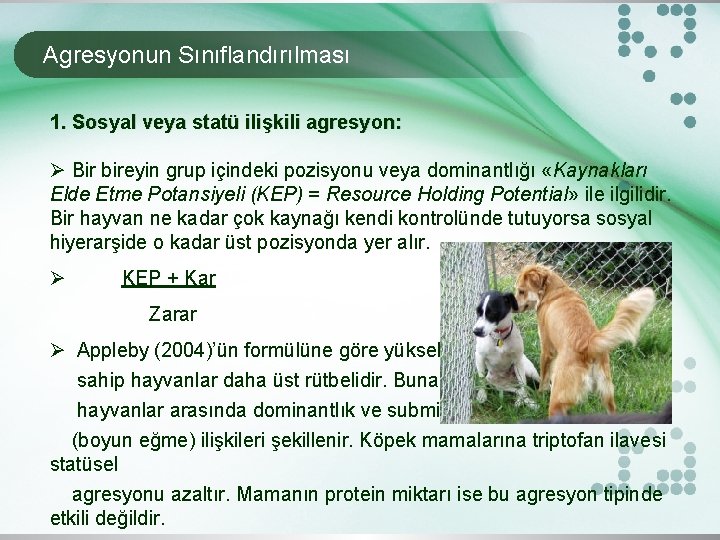 Agresyonun Sınıflandırılması 1. Sosyal veya statü ilişkili agresyon: Ø Bir bireyin grup içindeki pozisyonu