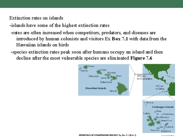 Extinction rates on islands -islands have some of the highest extinction rates -rates are