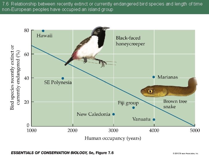 7. 6 Relationship between recently extinct or currently endangered bird species and length of