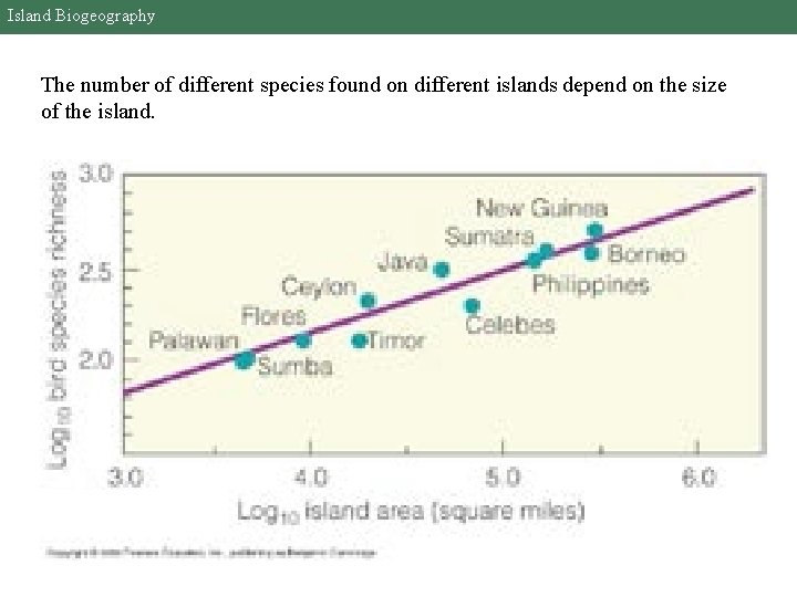 Island Biogeography The number of different species found on different islands depend on the