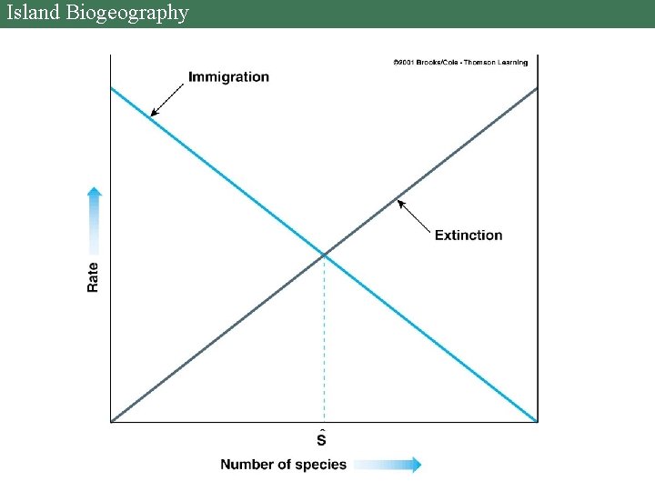 Island Biogeography 