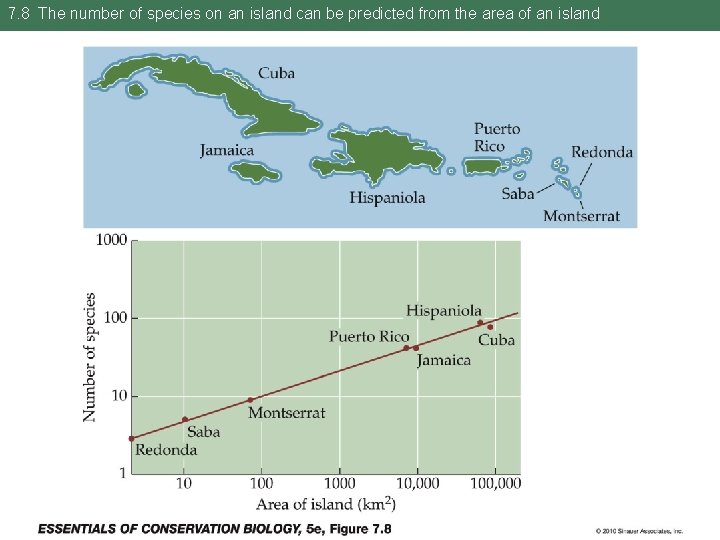 7. 8 The number of species on an island can be predicted from the