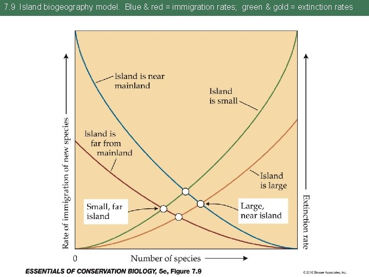 7. 9 Island biogeography model. Blue & red = immigration rates; green & gold