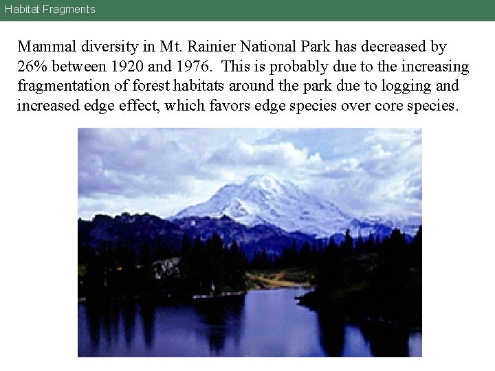 Habitat Fragments Mammal diversity in Mt. Rainier National Park has decreased by 26% between