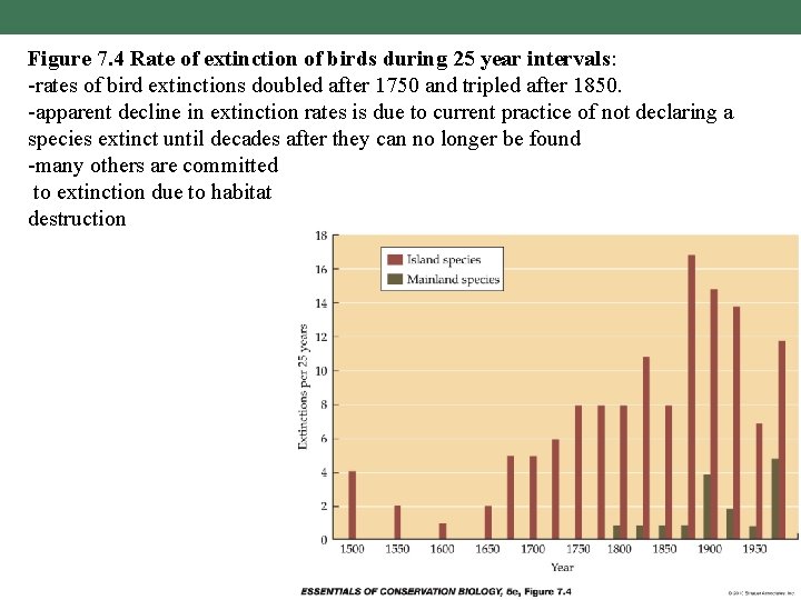 Figure 7. 4 Rate of extinction of birds during 25 year intervals: -rates of