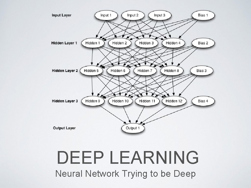 DEEP LEARNING Neural Network Trying to be Deep 