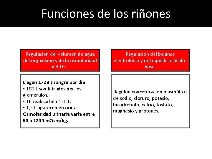 Funciones de los riñones Regulación del volumen de agua del organismo y de la Funciones de los riñones Regulación del volumen de agua del organismo y de la
