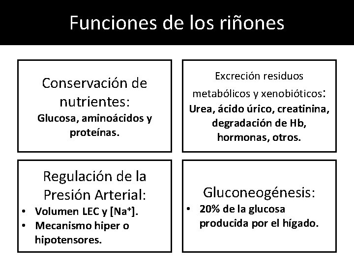 Funciones de los riñones Conservación de nutrientes: Excreción residuos Glucosa, aminoácidos y proteínas. metabólicos Funciones de los riñones Conservación de nutrientes: Excreción residuos Glucosa, aminoácidos y proteínas. metabólicos