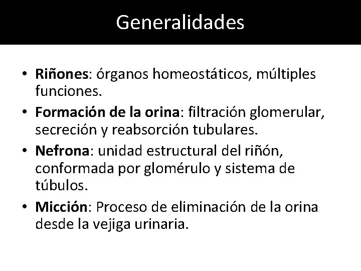 Generalidades • Riñones: órganos homeostáticos, múltiples funciones. • Formación de la orina: filtración glomerular, Generalidades • Riñones: órganos homeostáticos, múltiples funciones. • Formación de la orina: filtración glomerular,