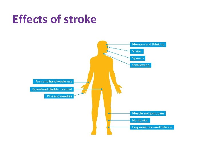 Effects of stroke 
