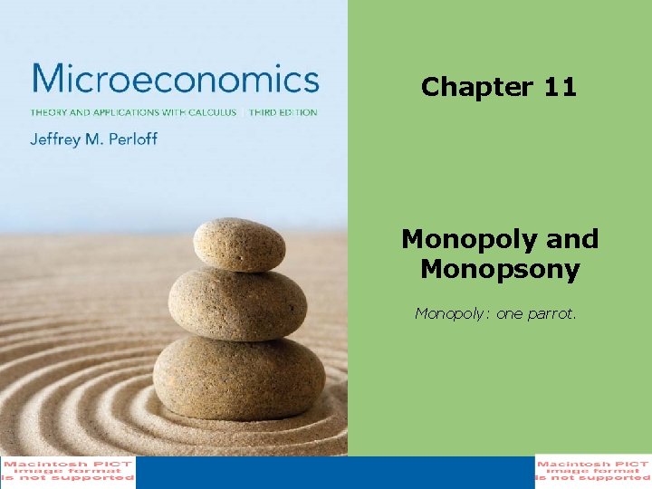  Chapter 11 Monopoly and Monopsony Monopoly: one parrot. 