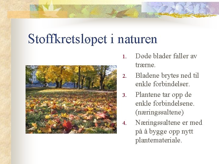 Stoffkretsløpet i naturen 1. 2. 3. 4. Døde blader faller av trærne. Bladene brytes