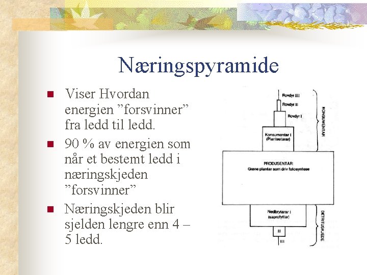 Næringspyramide n n n Viser Hvordan energien ”forsvinner” fra ledd til ledd. 90 % Næringspyramide n n n Viser Hvordan energien ”forsvinner” fra ledd til ledd. 90 %