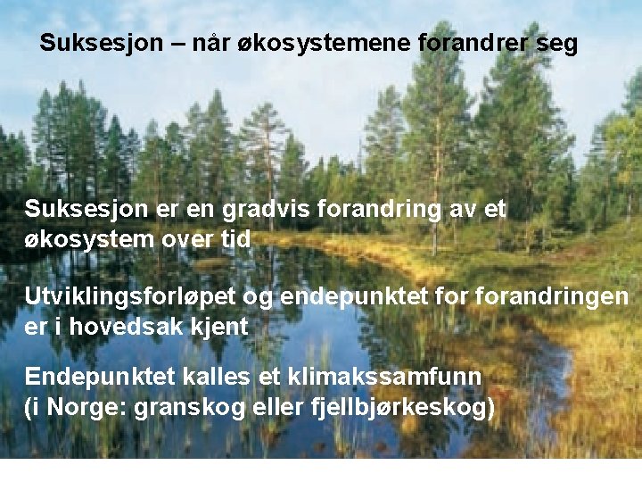 Suksesjon – når økosystemene forandrer seg Suksesjon er en gradvis forandring av et økosystem