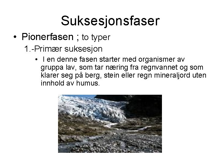 Suksesjonsfaser • Pionerfasen ; to typer 1. -Primær suksesjon • I en denne fasen