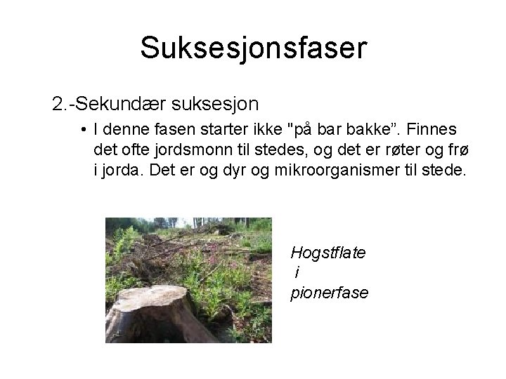 Suksesjonsfaser 2. -Sekundær suksesjon • I denne fasen starter ikke "på bar bakke”. Finnes