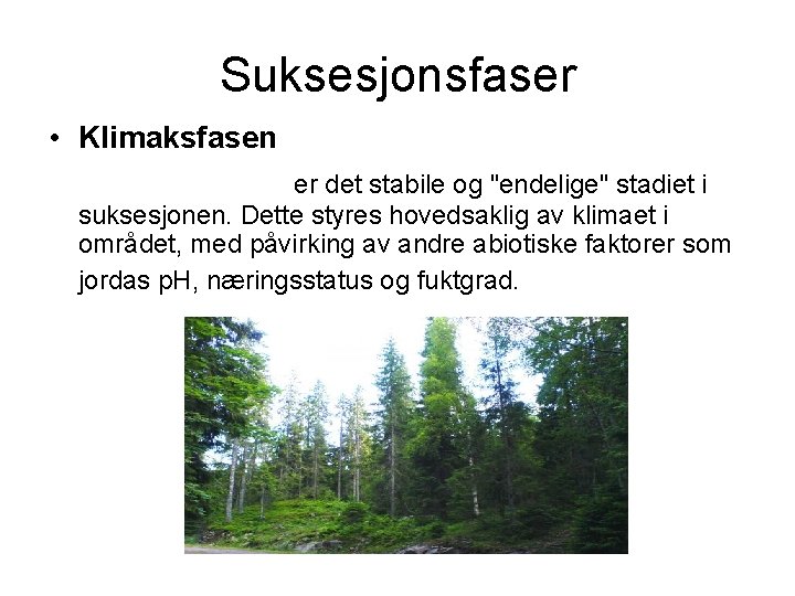 Suksesjonsfaser • Klimaksfasen er det stabile og "endelige" stadiet i suksesjonen. Dette styres hovedsaklig