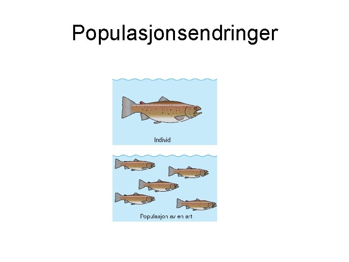 Populasjonsendringer 