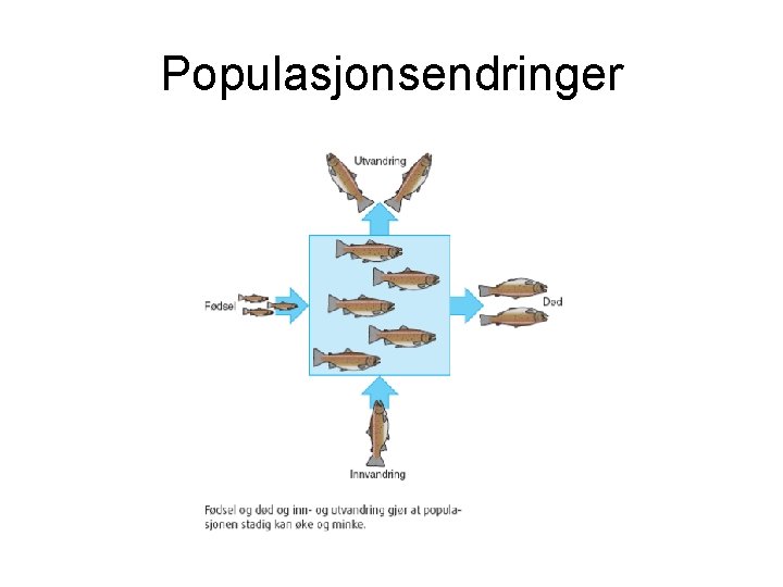 Populasjonsendringer 