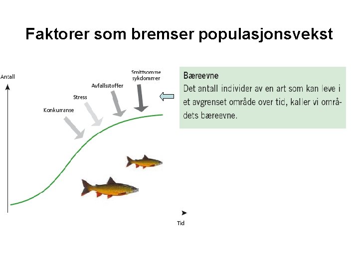 Faktorer som bremser populasjonsvekst 