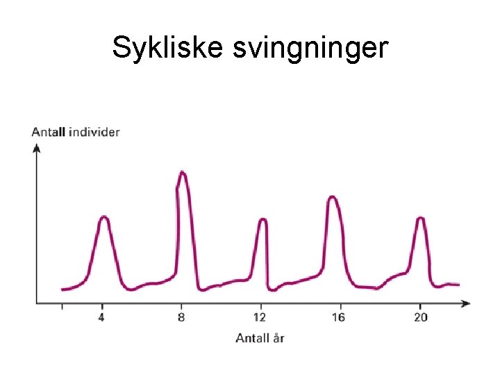 Sykliske svingninger 