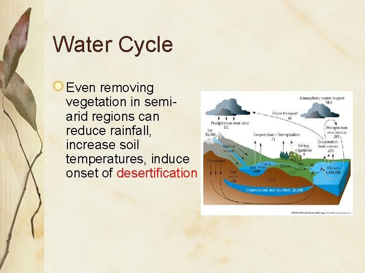 Water Cycle Even removing vegetation in semiarid regions can reduce rainfall, increase soil temperatures,