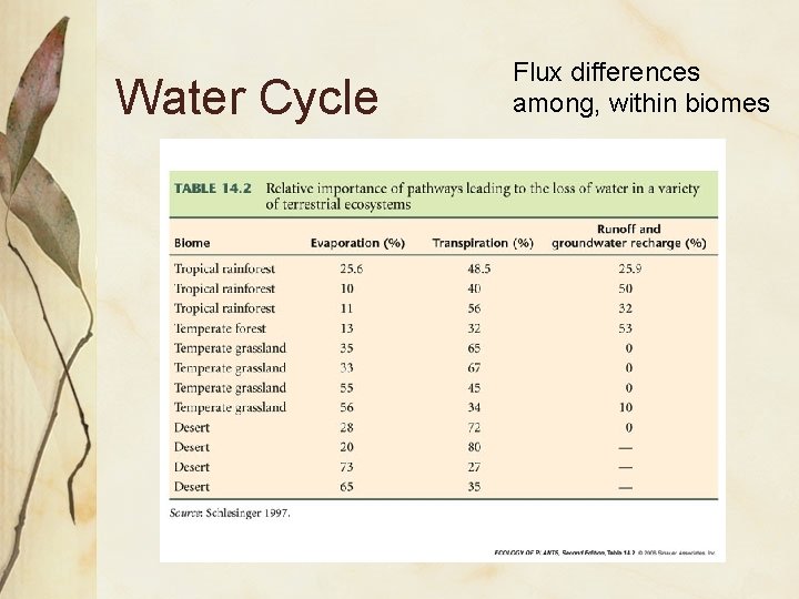 Water Cycle Flux differences among, within biomes 