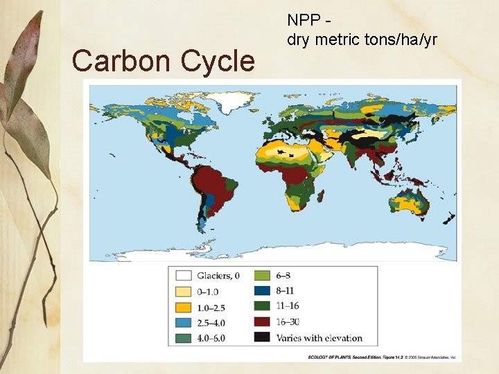 Carbon Cycle NPP dry metric tons/ha/yr 