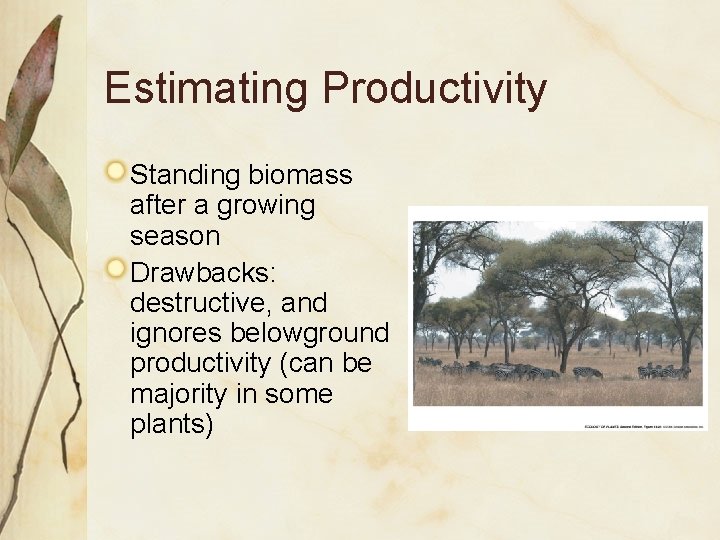 Estimating Productivity Standing biomass after a growing season Drawbacks: destructive, and ignores belowground productivity