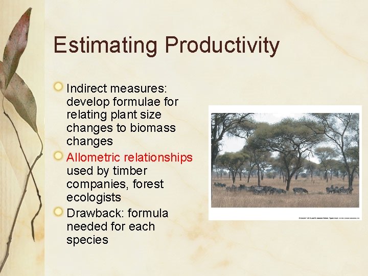 Estimating Productivity Indirect measures: develop formulae for relating plant size changes to biomass changes