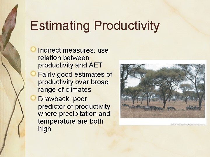 Estimating Productivity Indirect measures: use relation between productivity and AET Fairly good estimates of