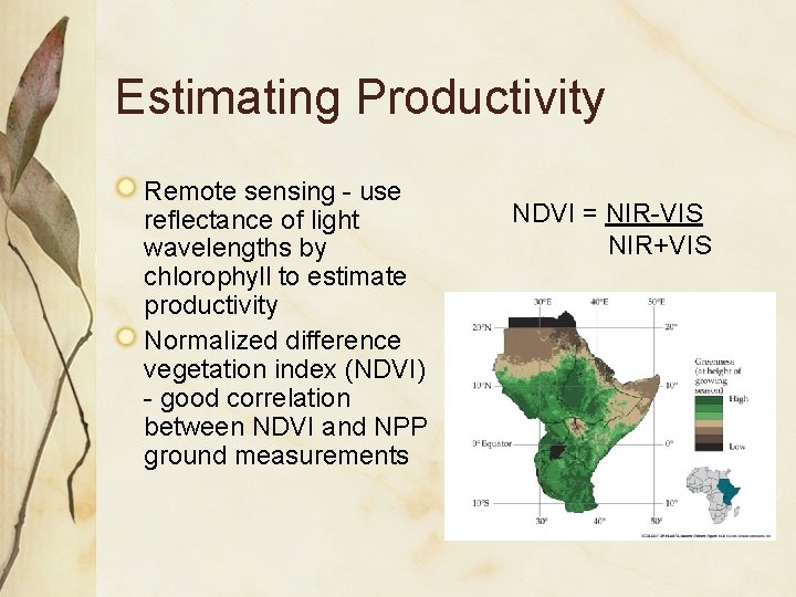 Estimating Productivity Remote sensing - use reflectance of light wavelengths by chlorophyll to estimate