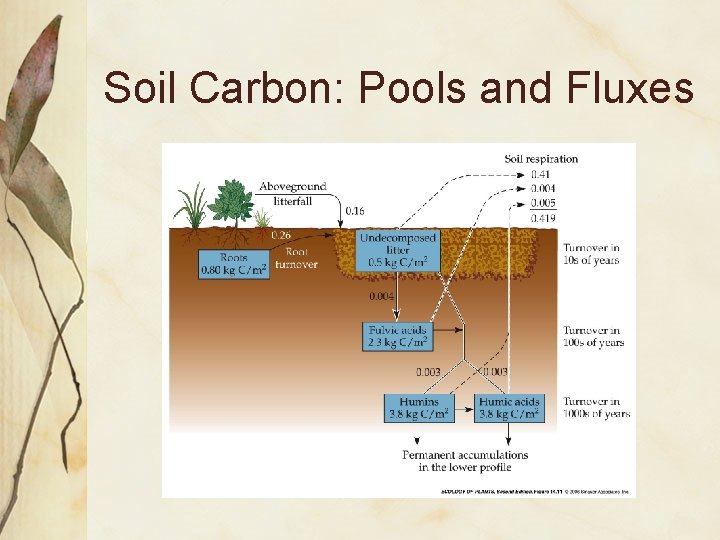 Soil Carbon: Pools and Fluxes 