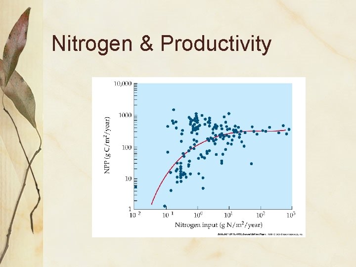 Nitrogen & Productivity 