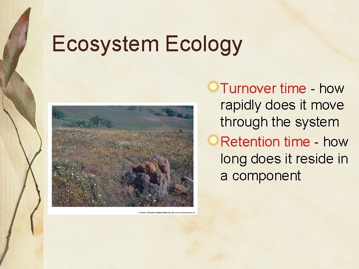 Ecosystem Ecology Turnover time - how rapidly does it move through the system Retention