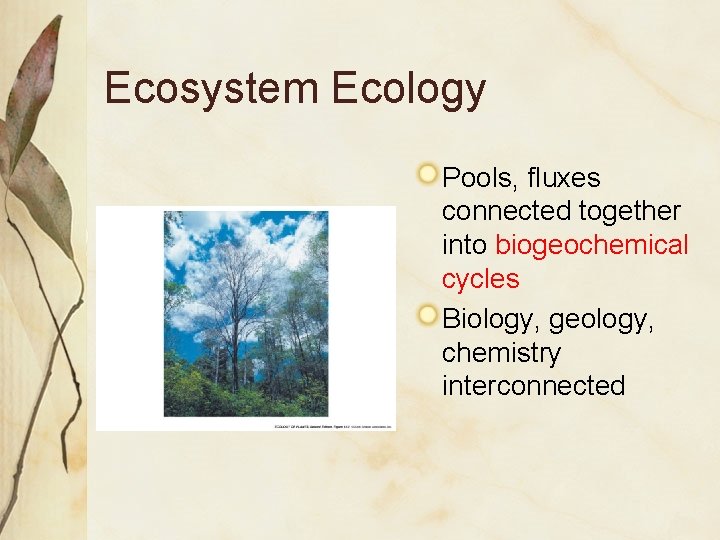 Ecosystem Ecology Pools, fluxes connected together into biogeochemical cycles Biology, geology, chemistry interconnected 