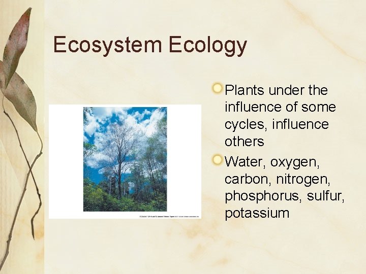 Ecosystem Ecology Plants under the influence of some cycles, influence others Water, oxygen, carbon,