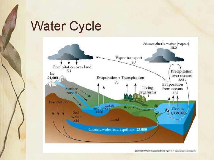 Water Cycle 