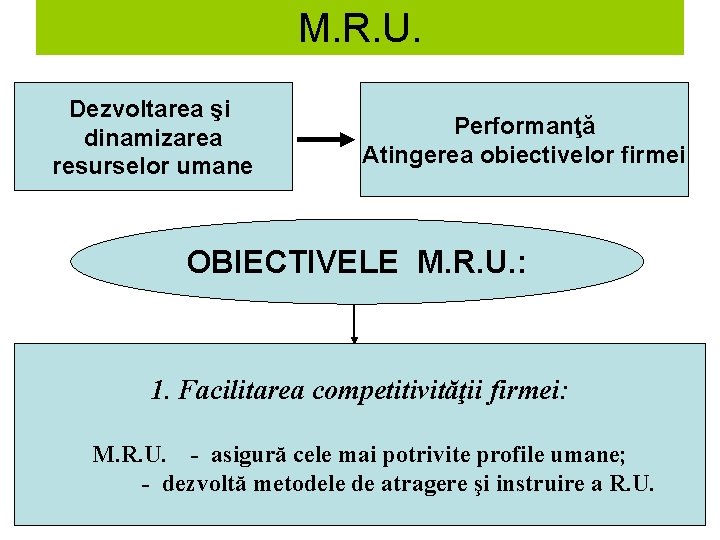 M. R. U. . Dezvoltarea şi dinamizarea resurselor umane Performanţă Atingerea obiectivelor firmei OBIECTIVELE