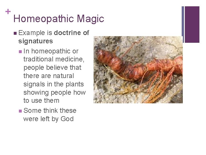 + Homeopathic Magic n Example is doctrine of signatures n In homeopathic or traditional
