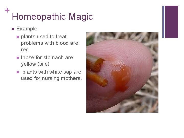 + Homeopathic Magic n Example: n plants used to treat problems with blood are
