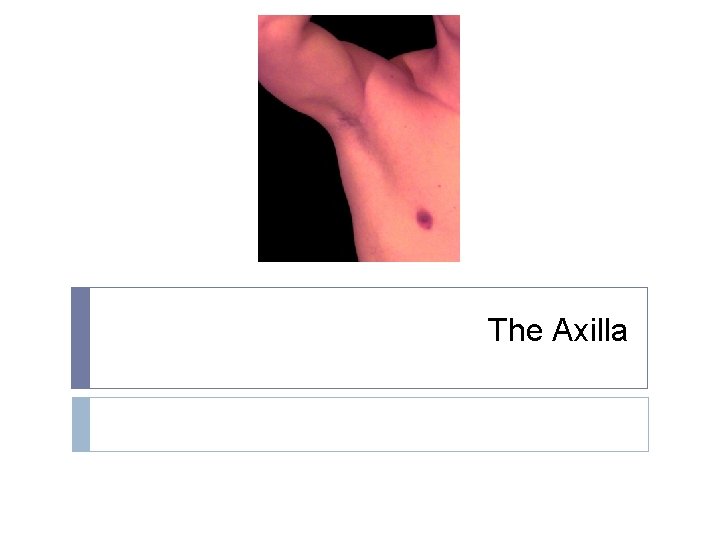 The Axilla 