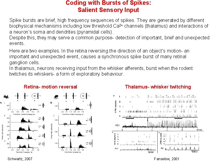 Coding with Bursts of Spikes: Salient Sensory Input Spike bursts are brief, high frequency