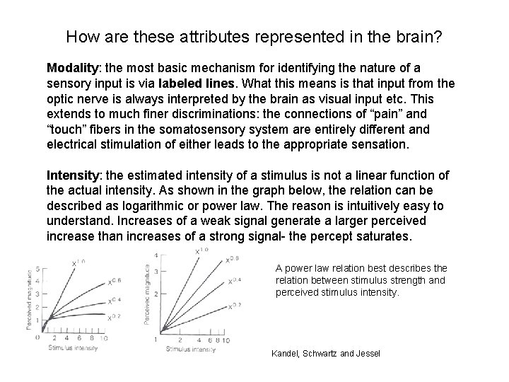 How are these attributes represented in the brain? Modality: the most basic mechanism for