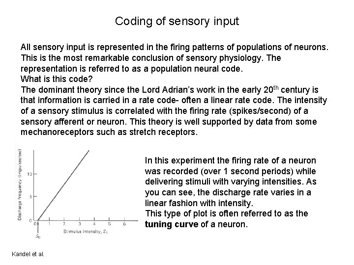 Coding of sensory input All sensory input is represented in the firing patterns of