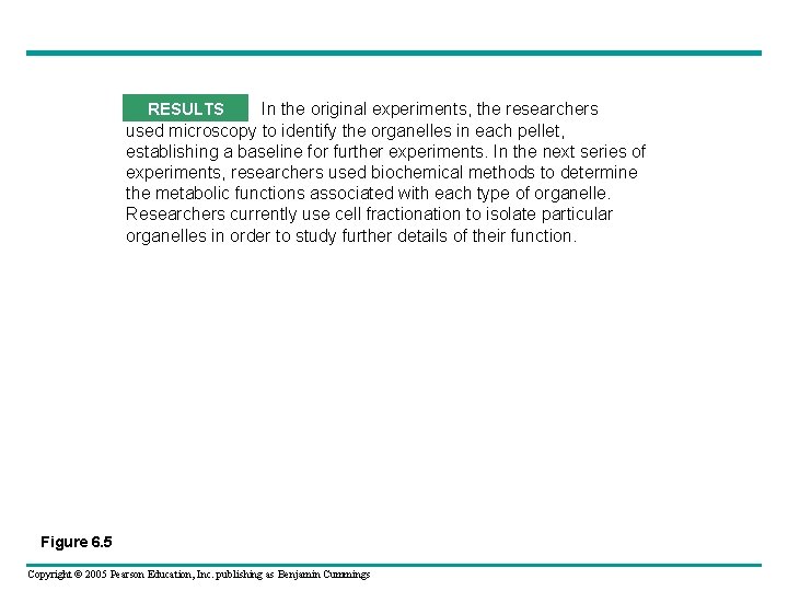 RESULTS In the original experiments, the researchers used microscopy to identify the organelles in RESULTS In the original experiments, the researchers used microscopy to identify the organelles in