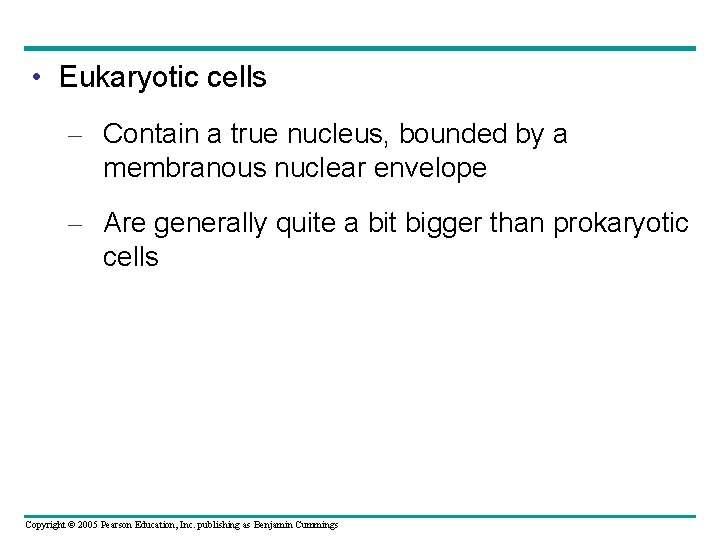 • Eukaryotic cells – Contain a true nucleus, bounded by a membranous nuclear • Eukaryotic cells – Contain a true nucleus, bounded by a membranous nuclear