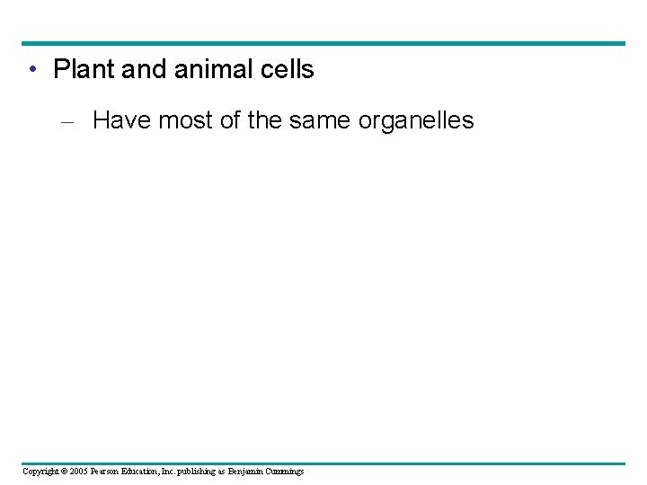 • Plant and animal cells – Have most of the same organelles Copyright • Plant and animal cells – Have most of the same organelles Copyright