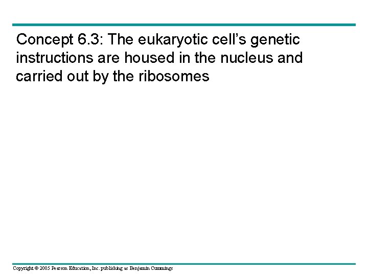 Concept 6. 3: The eukaryotic cell’s genetic instructions are housed in the nucleus and Concept 6. 3: The eukaryotic cell’s genetic instructions are housed in the nucleus and